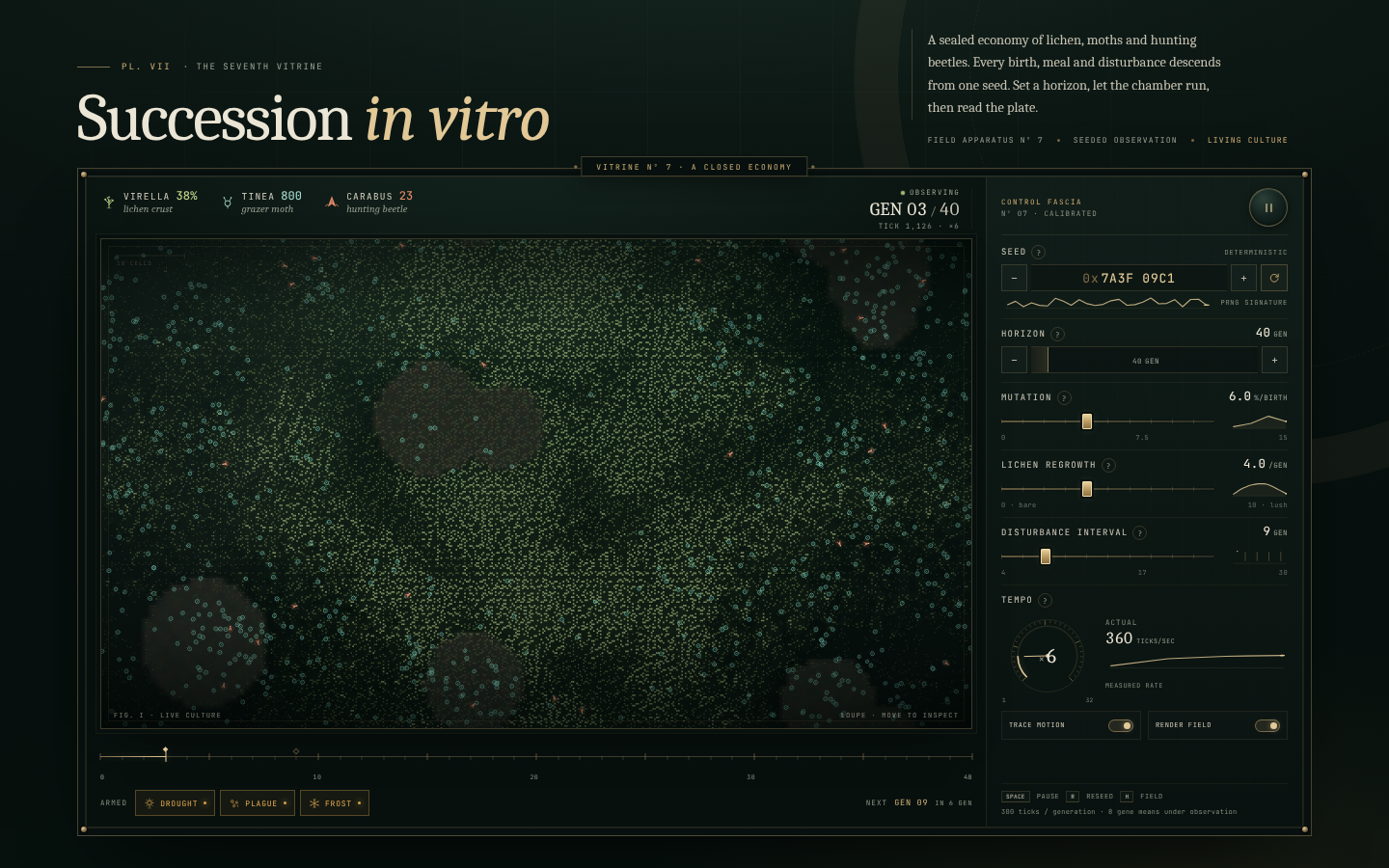 Succession in vitro, live simulation